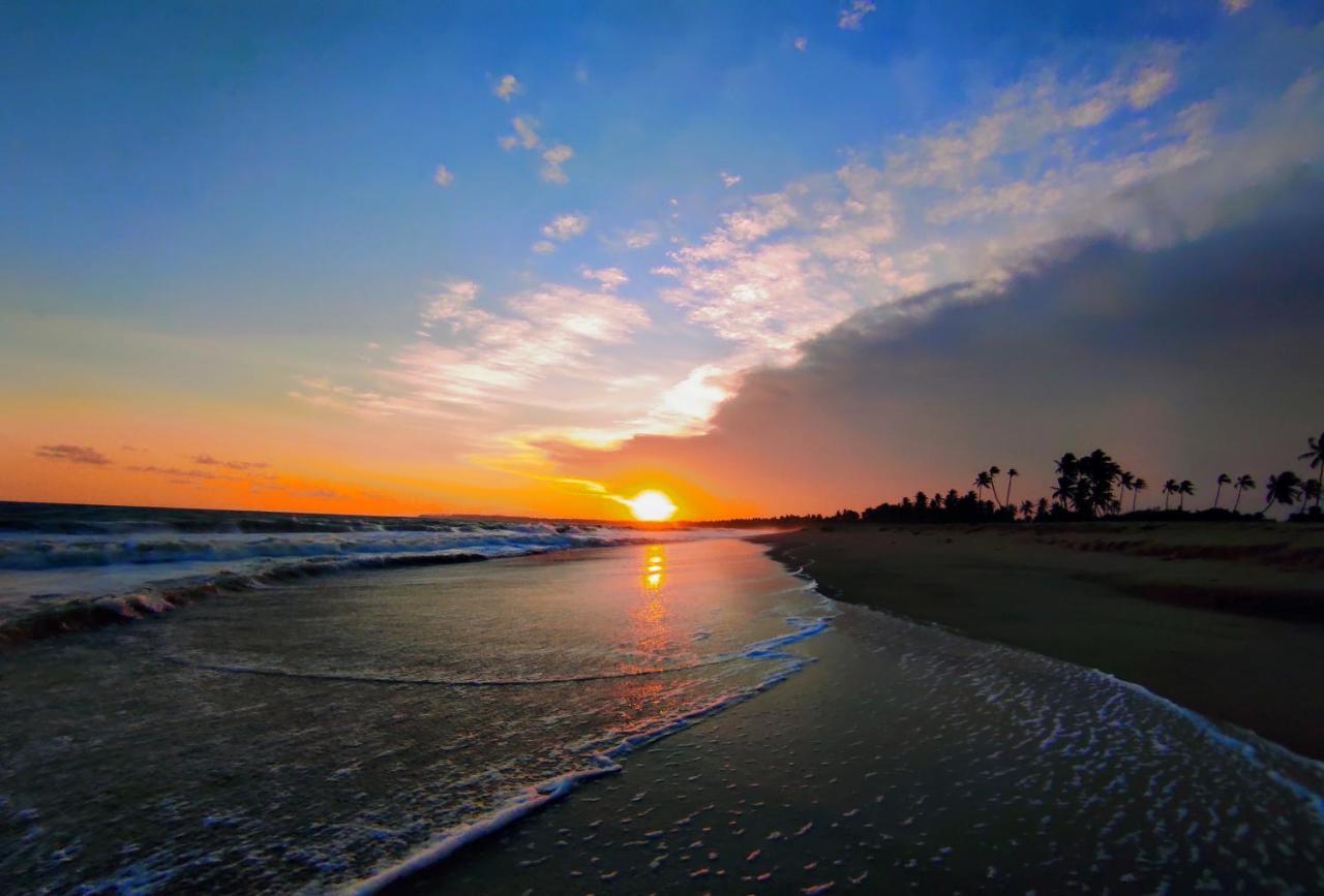 Sleeping Elephant Beach Resort แทนกาลเล ภายนอก รูปภาพ