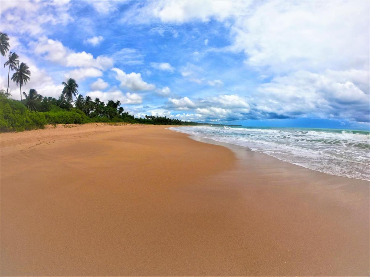 Sleeping Elephant Beach Resort แทนกาลเล ภายนอก รูปภาพ