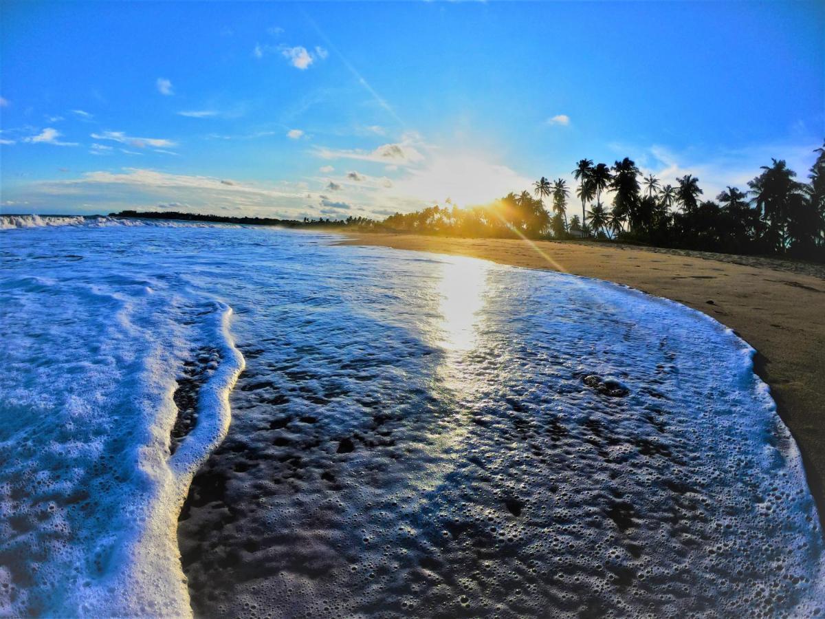 Sleeping Elephant Beach Resort แทนกาลเล ภายนอก รูปภาพ
