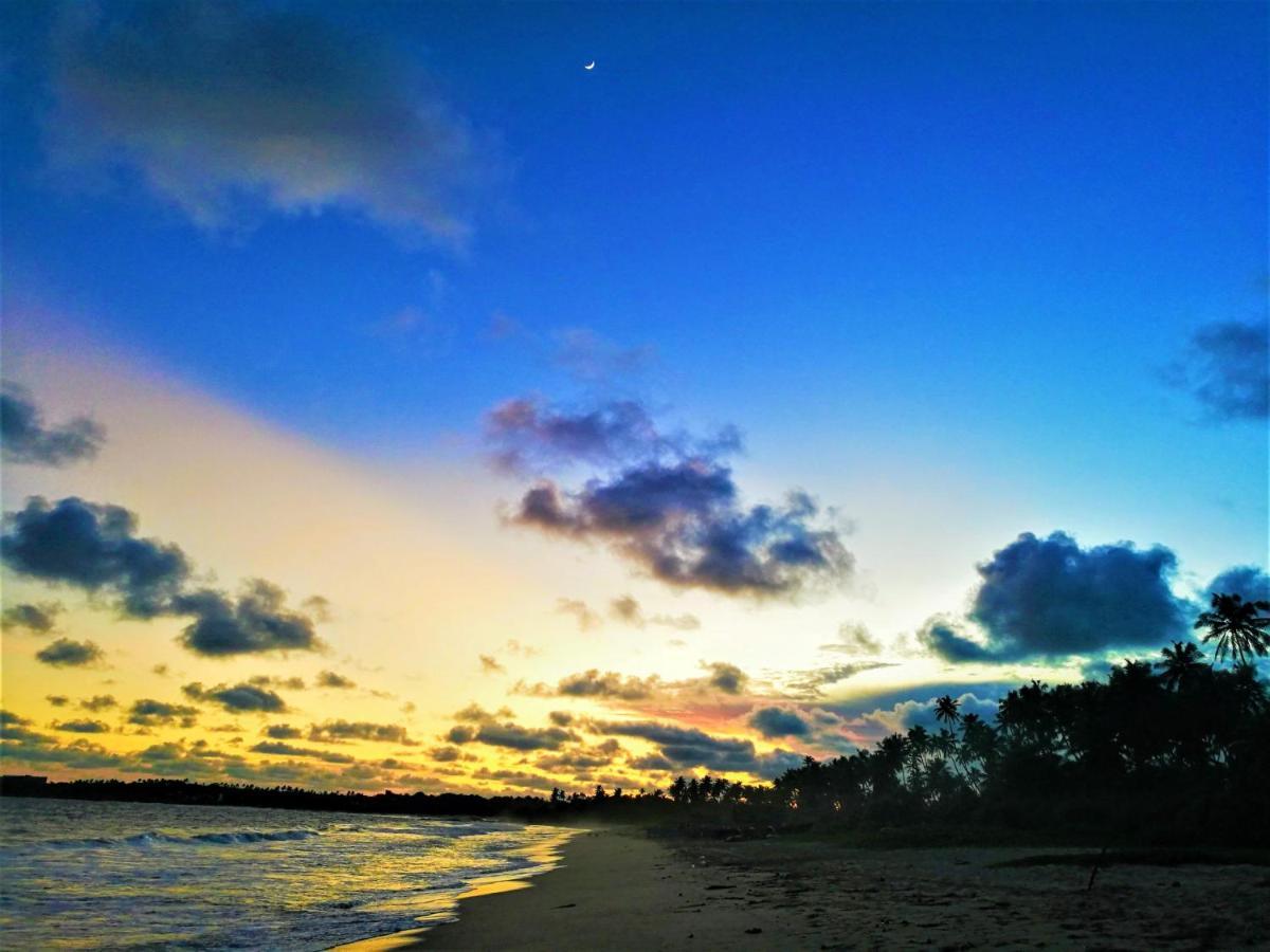 Sleeping Elephant Beach Resort แทนกาลเล ภายนอก รูปภาพ