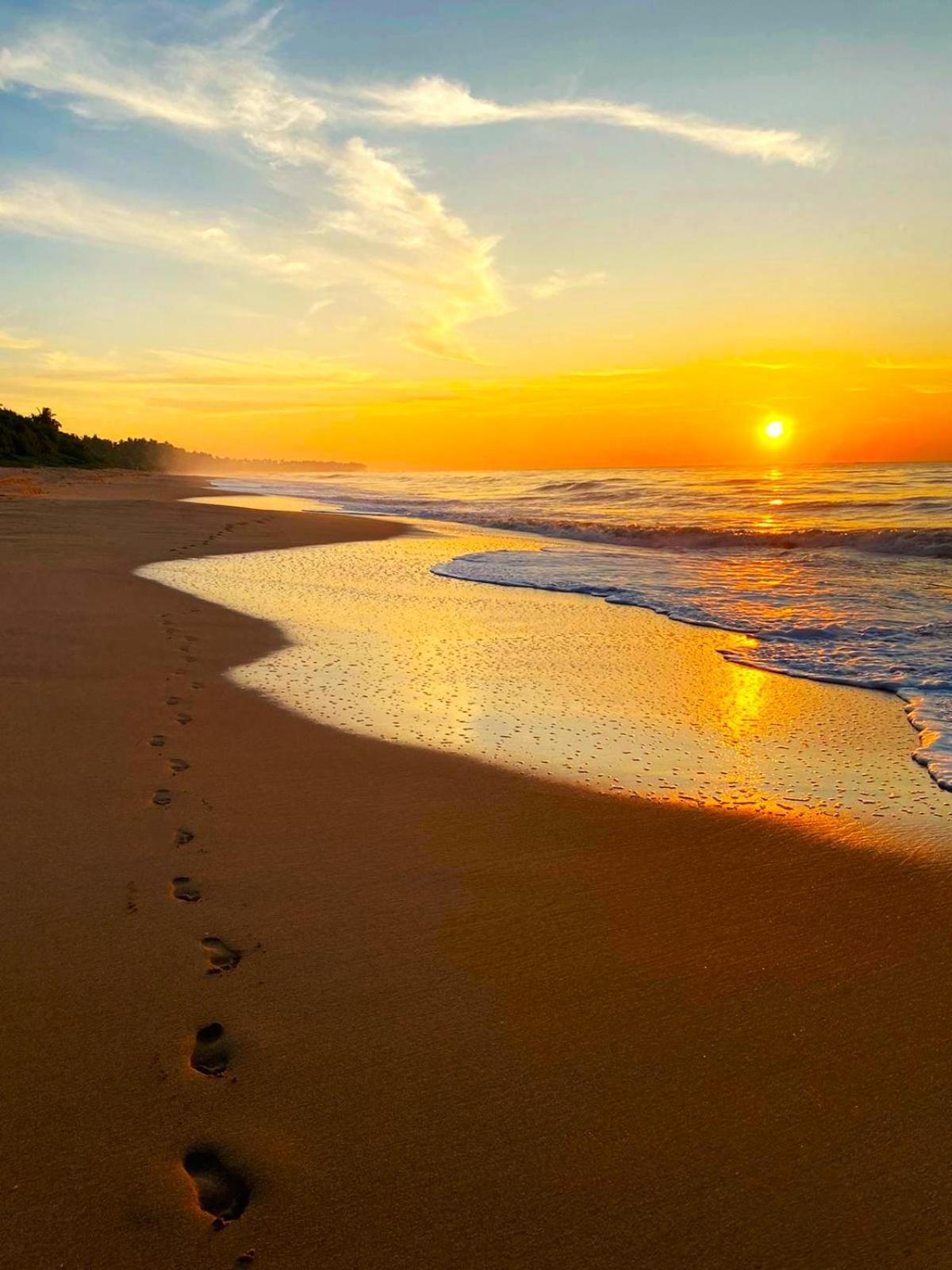 Sleeping Elephant Beach Resort แทนกาลเล ภายนอก รูปภาพ