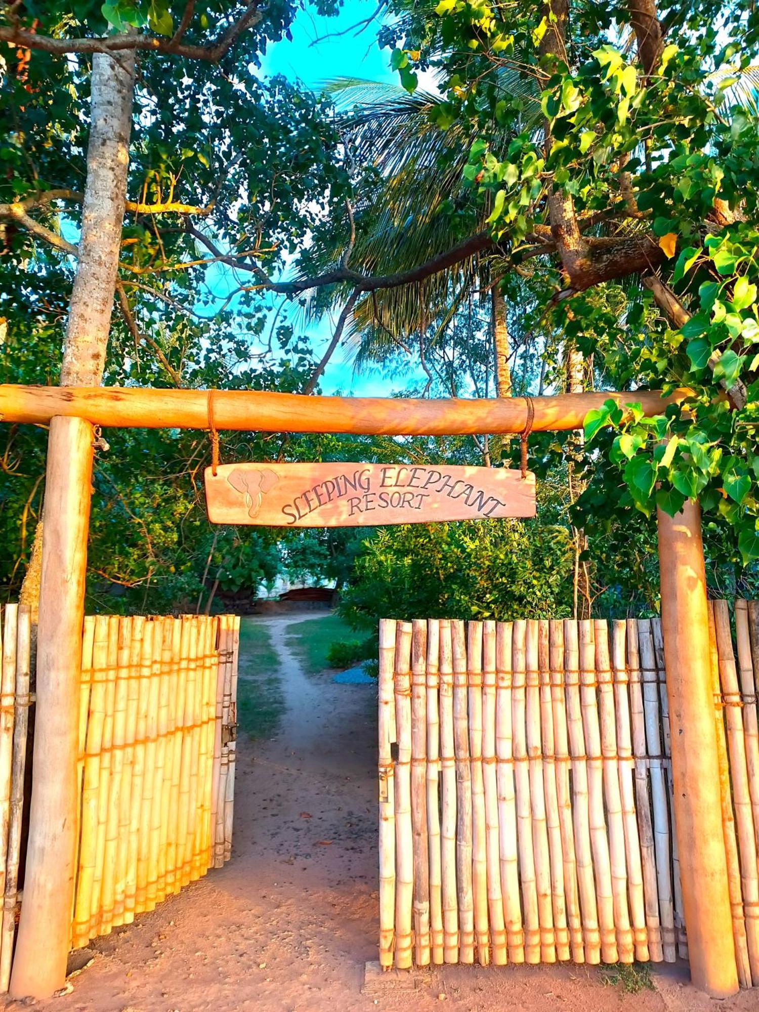 Sleeping Elephant Beach Resort แทนกาลเล ภายนอก รูปภาพ